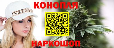 гашик Кунгур