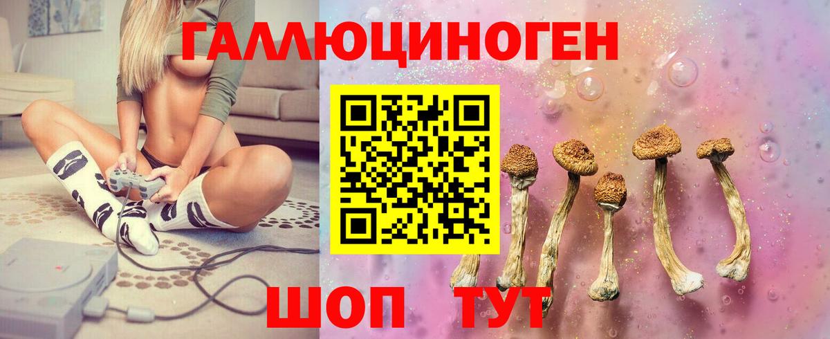 Галлюциногенные грибы ЛСД  Вход с VPN  Галлюциногенные грибы Psilocybine cubensis  Пугачёв 